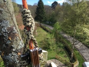 Tree climbing egton bridge nice view