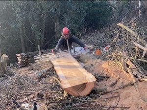Timber milling in Cleveland, Whitby, Guisborough, and Redcar.
