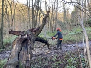 storm clearance work of trees in Whitby and surrounding areas..