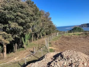 Site clearance of trees in Whitby, Saltburn-by-the-Sea, and along the coast of North Yorkshire